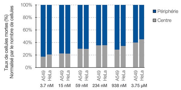 Figure 7. Différences de réponse à la staurosporine entre le centre et la périphérie des sphéroïdes