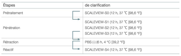 Tableau 1. Protocole SCALEVIEW-S original