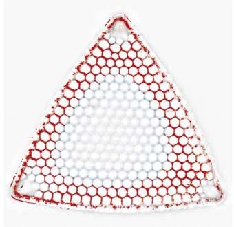 Figure 2 – Acquisition rapide d’images dans le plan focal