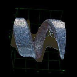 Piston ring SE_ob20X_3D