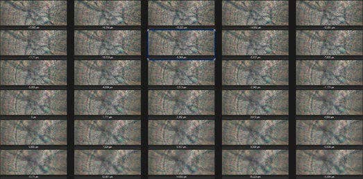 Découpe du centre du focus stacking d’otolithes adultes