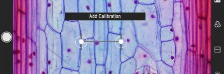 Comment étalonner votre caméra de microscope : la première étape pour obtenir des mesures précises