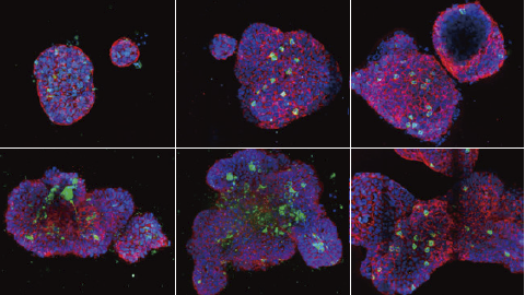 3D Assays : un logiciel intelligent pour des analyses pertinentes