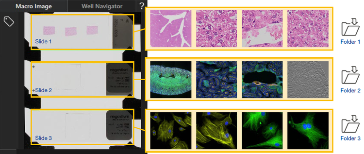Un microscope facile à utiliser pour l’imagerie de recherche
