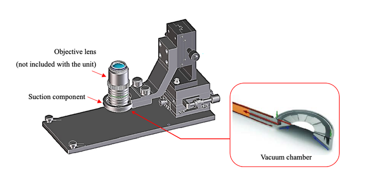 Dispositif de fixation par adsorption pour souris pour l’imagerie intravitale des souris