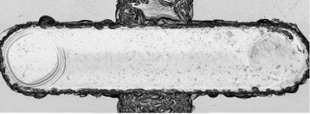 Micro-rainures usinées sur une surface en verre Pyrex