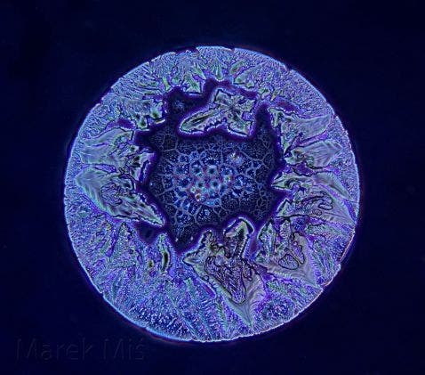 Sauce soja cristallisée observée au microscope