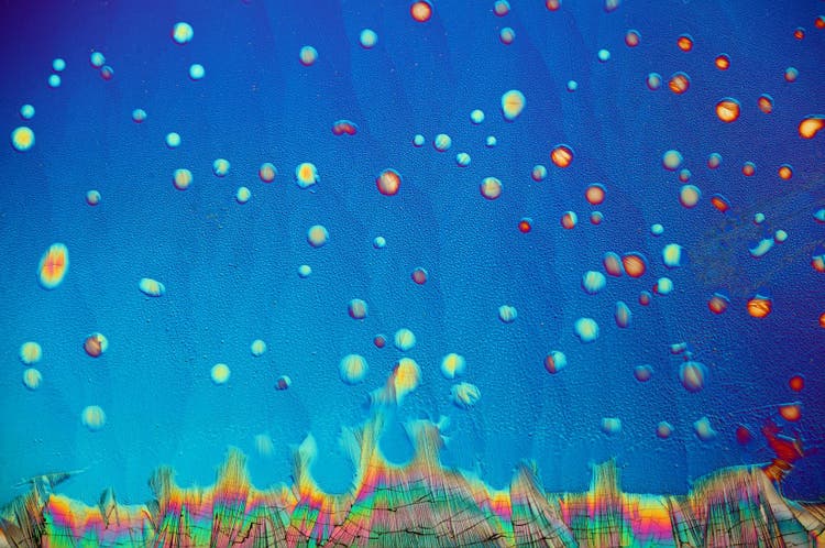 Grossissement 100x de dopamine solidifiée