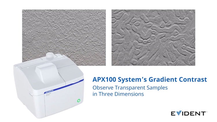 Apx100 Gradien Contrast