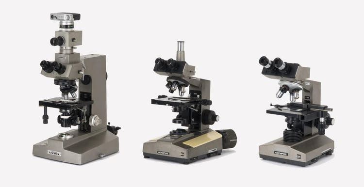 Microscopes droits des années 1970