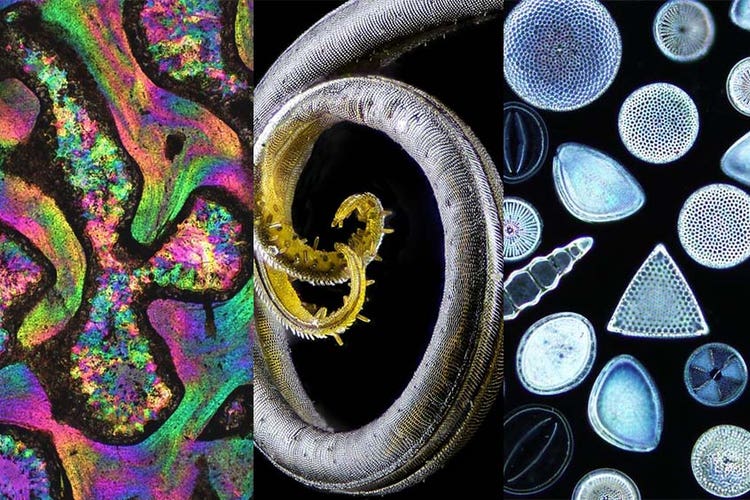 Œuvres d’art microscopiques