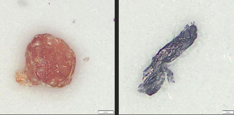 Image obtenue au microscope d’une particule affichée en couleur réelle