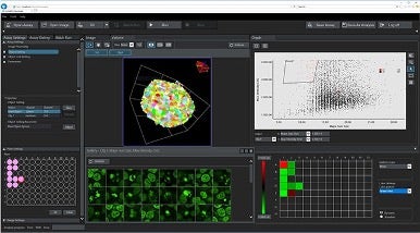 Analyse quantitative des cellules en mitose à l’intérieur des sphéroïdes cellulaires