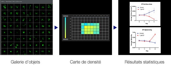 Analyse d’images 3D à haut débit