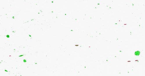 Inclusion non métallique