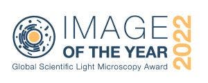 CONCOURS « IMAGE OF THE YEAR » 2022