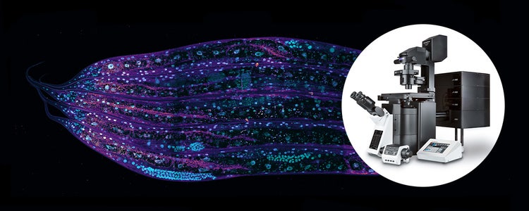 L’innovation au centre de nos priorités