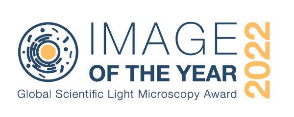 Concours « Image of the Year » 2022