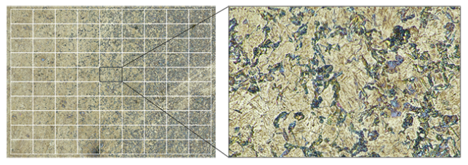 Taille d’image illimitée