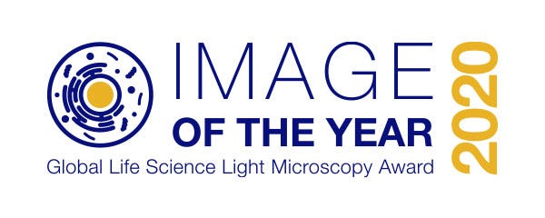 CONCOURS « IMAGE OF THE YEAR » 2020