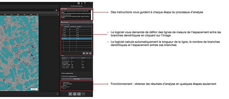 Fonctions dédiées à l’analyse de l’espacement entre les branches dendritiques