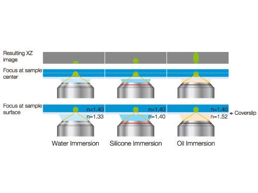 Effects of Refractive Index Mismatch on Sample Shape