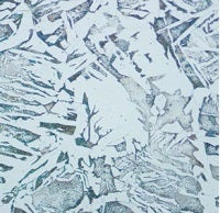 Variabilité des images observées par différents utilisateurs – B