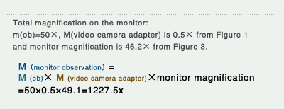 Total Magnification on the Monitor