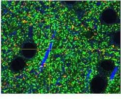 UPLASAPO60XS2, Z=35μm