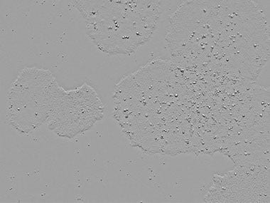 Figure 3. Observing changes over time in the same position