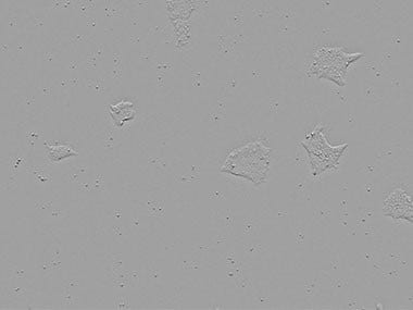 Figure 3. Observing changes over time in the same position