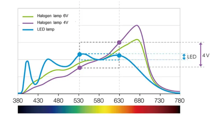 Identification de fibres de collagène de types I et III colorées au rouge picrosirius à l’aide du microscope BX53 équipé de la LED à haute luminosité et haut rendu colorimétrique d’Olympus