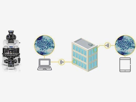 Partagez facilement les images prises avec votre caméra de microscope