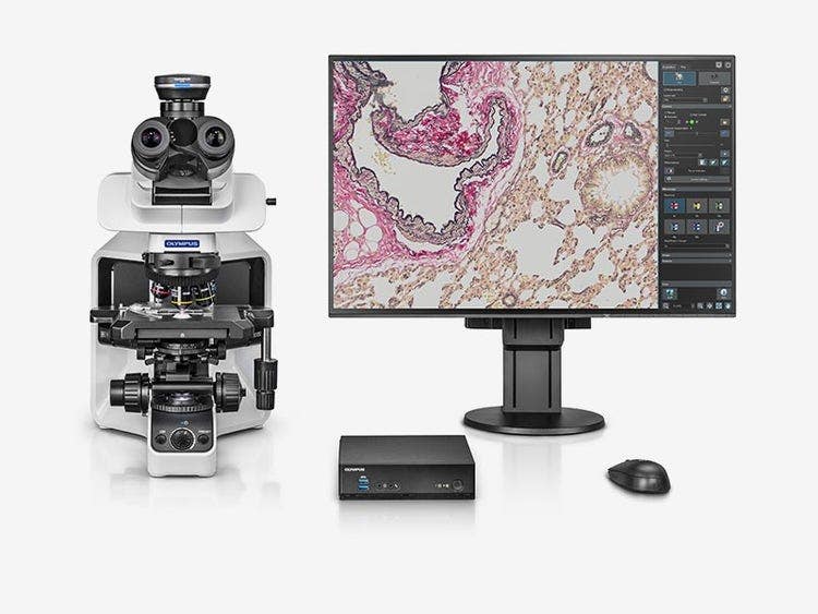 The standalone module simplifies your workflow