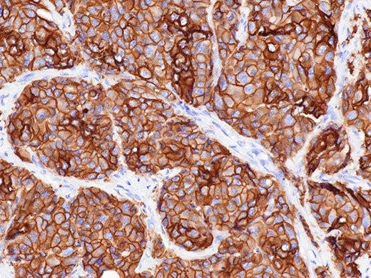 Un rendu fidèle des couleurs