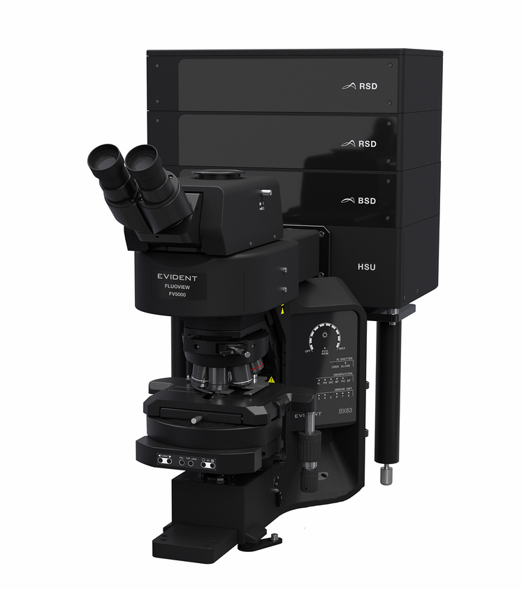 FV5000 confocal upright microscope system.