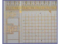 Grâce à la technologie d’intensification de la mise au point, la zone souhaitée peut être facilement mise au point