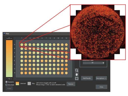 Results are visualized in heatmaps or exported to tables. Displaying an overview of full wells is simple.