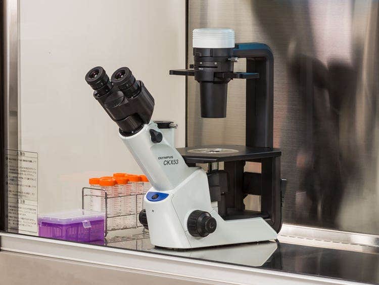 Conçu pour être installé sous hotte stérile