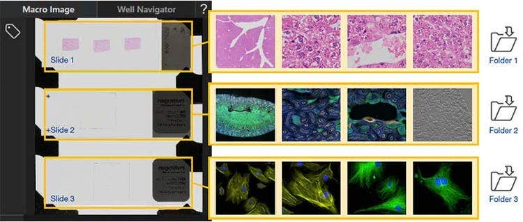 Les images sont organisées et faciles à trouver