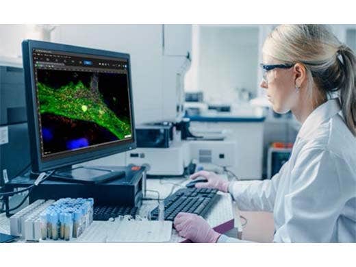 Gestion des données du microscope rapide et efficace