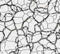 Microstructure with ferritic grains