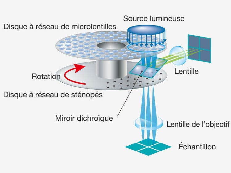 Imagerie rapide à très grande résolution et grand champ d’observation