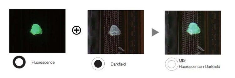 Résidu de résine photosensible sur un wafer semi-conducteur