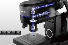 Picture 546339449, Picture