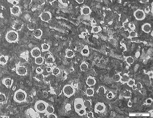 Esempio di un campione integro dove può essere calcolato un rapporto ferrite-perlite.