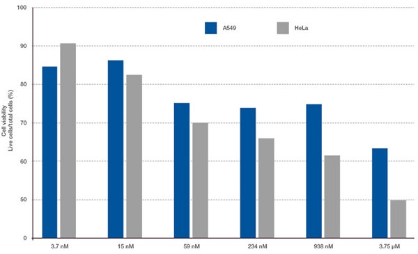 Figure 4. Difference in drug responsiveness between A549 cells and HeLa cells