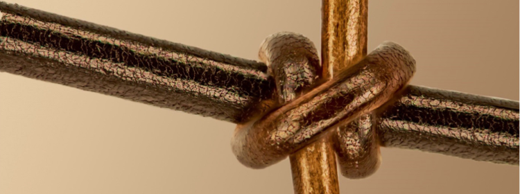 Un focus sul cosa ci lega: Il vincitore della 5° edizione del concorso annuale Image of the Year per la categoria Scienze dei materiali