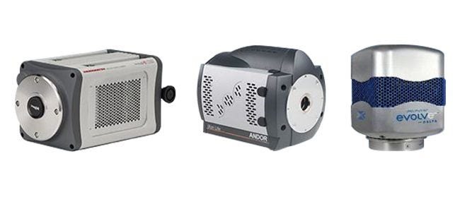 Picture 1110378775, Picture