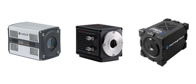 Picture 249206560, Picture